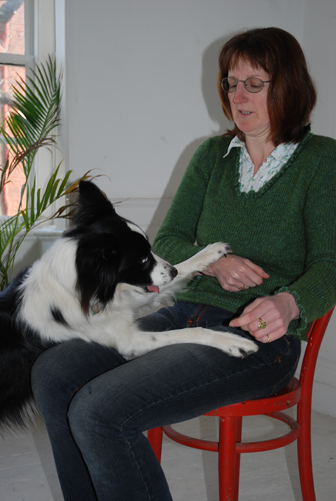 attention-seeking, dog socialisation, dog behaviour, dog training, Devon, dog courses, behaviourist, dog training courses in Devon