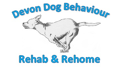 Dog Rescue in Devon, dog rehoming, rescue dogs looking for a home, dog behaviour, dog training, Devon, dog courses, dog training courses in Devon