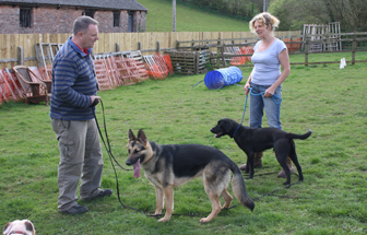 one to one training, dog socialisation, dog behaviour, dog training, Devon, dog courses, behaviourist, dog training courses in Devon