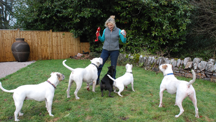 Ruth and some of her pack, dog behaviour, dog training, Devon, dog courses, dog training courses in Devon
