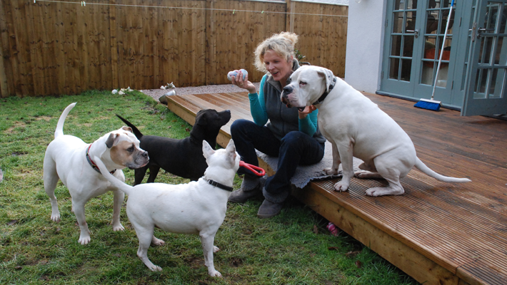 Ruth has many years experience of dog training and dog behaviour, dog behaviour, dog training, Devon, dog courses, dog training courses in Devon