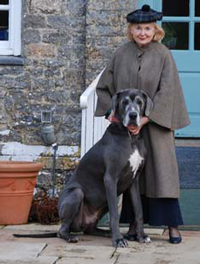 dog socialisation, dog behaviour, dog training, Devon, dog courses, behaviourist, dog training courses in Devon, puppy training